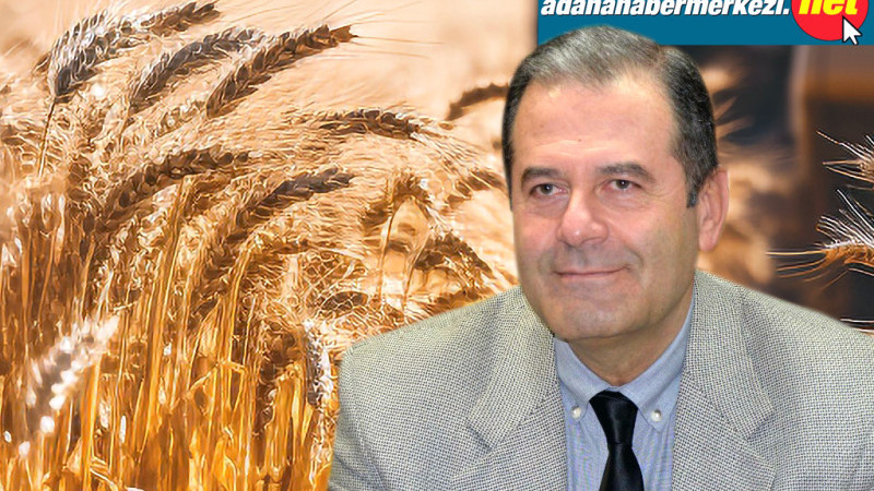 Tayakısı, “Buğday taban fiyatı en az 15 lira olmalı”