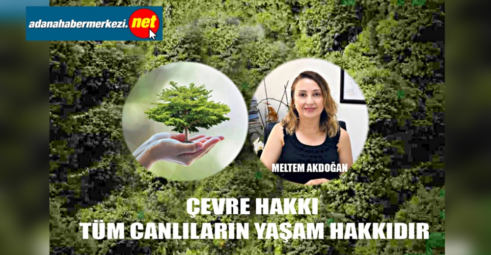 JMO’dan Dünya Çevre Günü Mesajı