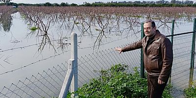 Çukurova Tarımı 2026’da Aşırı Yağışların Baskısı Altında