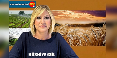 Gül, 